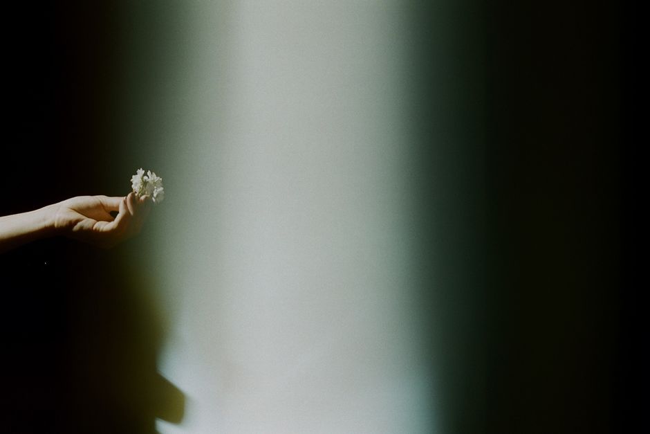 An artful scene of a hand holding a small white flower against a shaded background.