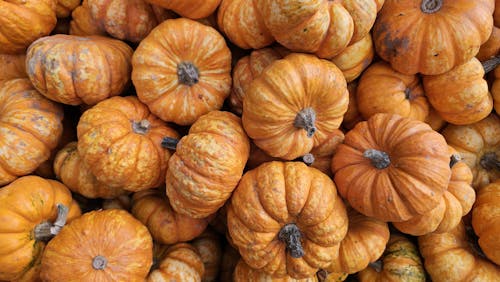 Heap of Pumpkins