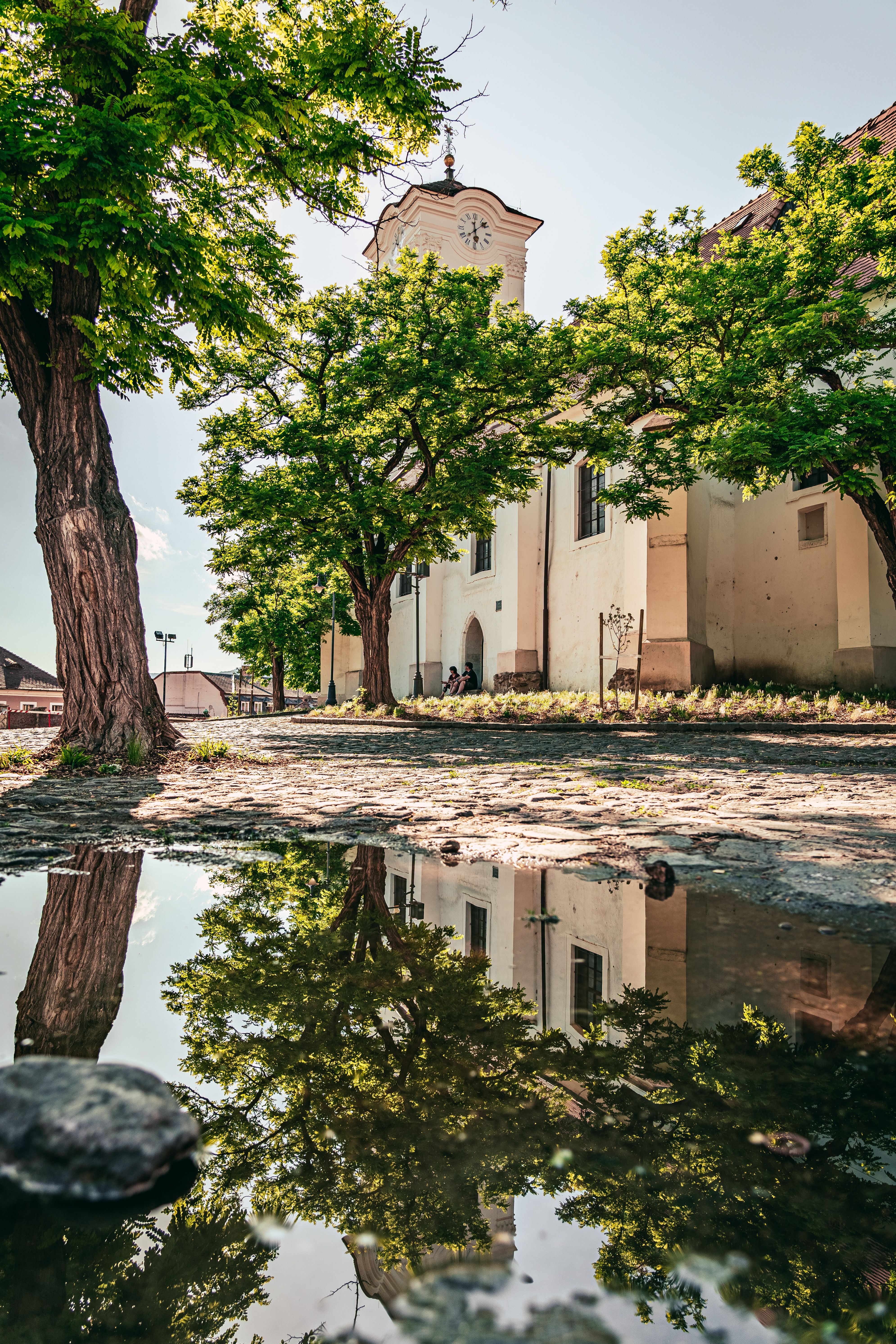 Peaceful church view with vibrant trees and puddle reflection on a sunny day.