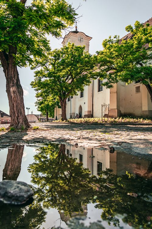 Free Peaceful church view with vibrant trees and puddle reflection on a sunny day. Stock Photo