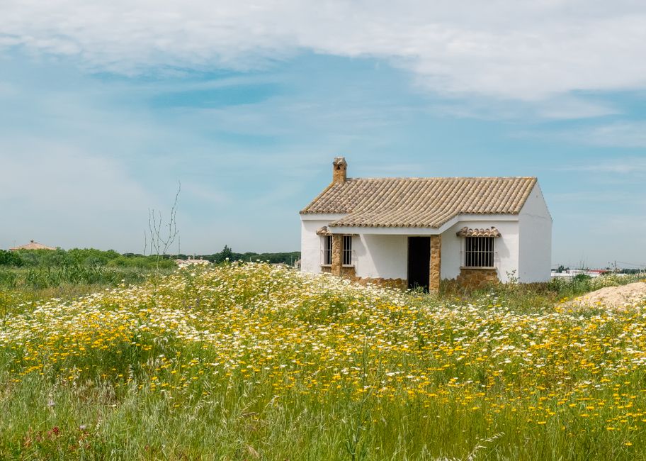 Pintoresca casa blanca rodeada de flores silvestres en el rural Poblado de Sancti Petri, España.
