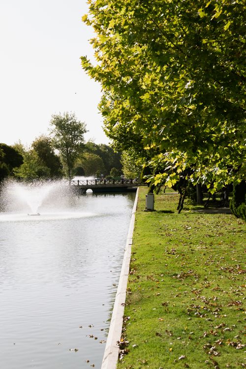 Free Serene park pond with a flowing fountain, surrounded by lush green trees and grass. Stock Photo