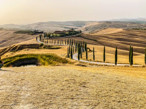 Foto d'estoc gratuïta de camí de la serp, camí rural, camps