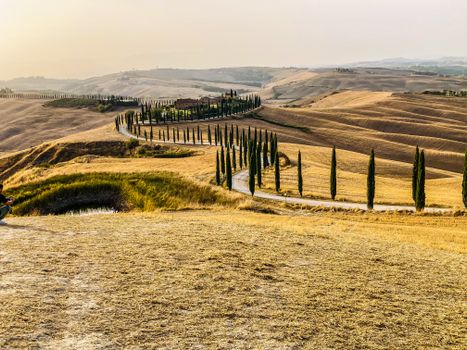 A scenic road winds through Tuscany's golden fields and cypress trees at sunset.