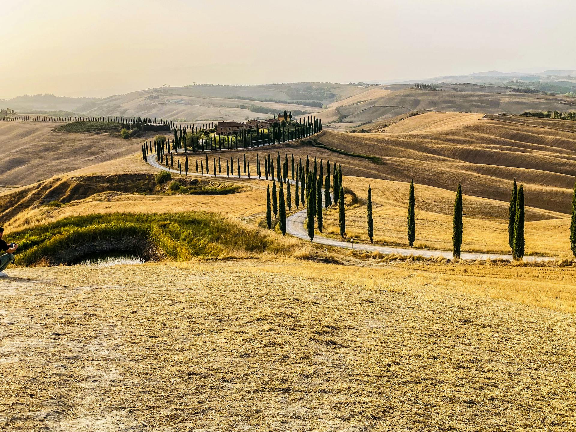 Cypresses Along the Serpent Road, Tuscany, Italy