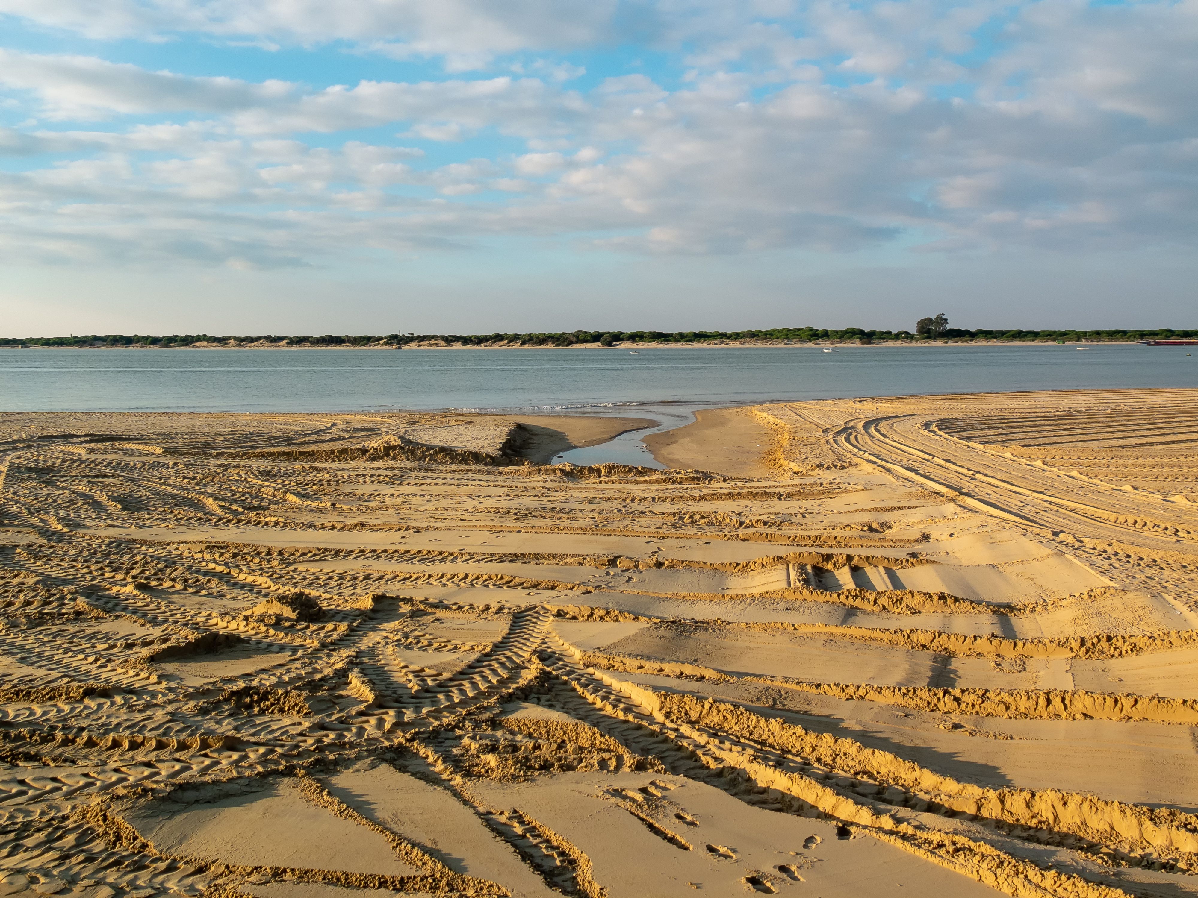 Paw Prints In The Sand Photos, Download The BEST Free Paw Prints In The