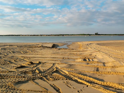 Free Car Tracks on Beach Sand Stock Photo