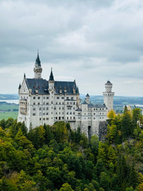 Free Aerial view of Neuschwanstein Castle surrounded by lush greenery and forest in Bavaria, Germany. Stock Photo