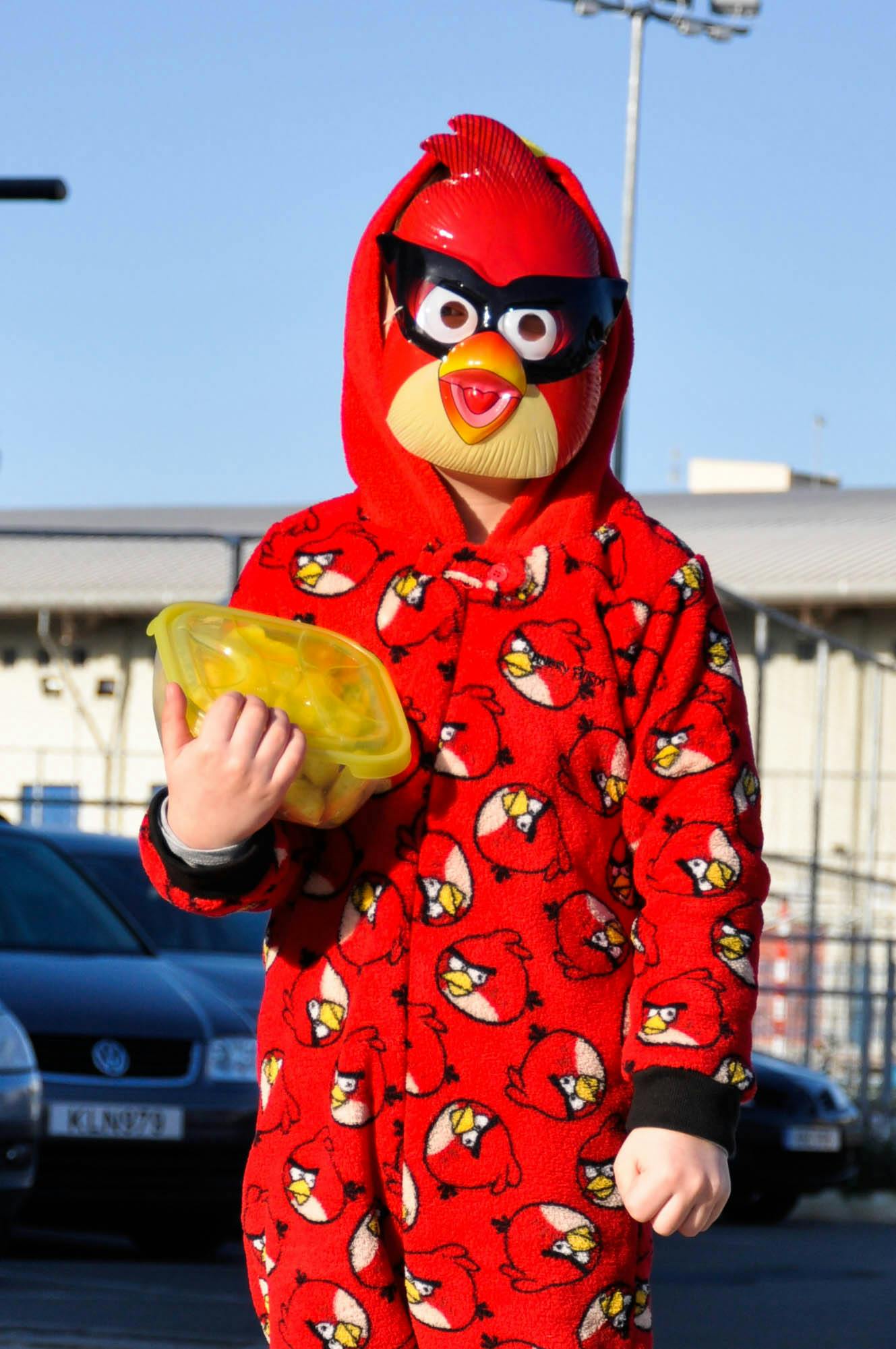 愤怒的小鸟2下载，愤怒的小鸟2下载最新版