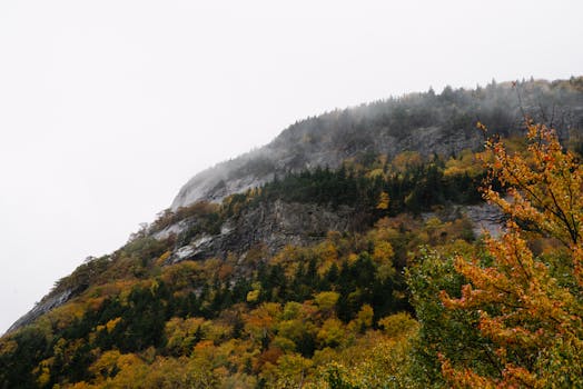 A misty mountain scene capturing autumn foliage and fog.