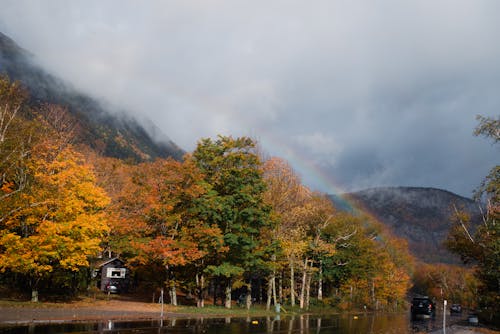 View of Trees in Autumnal Colors in Mountains with a Rainbow