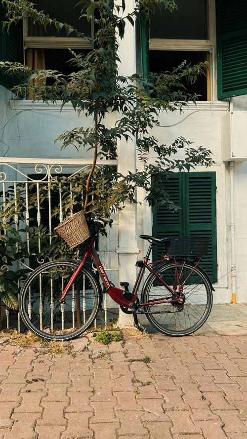 Free Stylish red bicycle with a woven basket parked by a lush Istanbul facade. Stock Photo