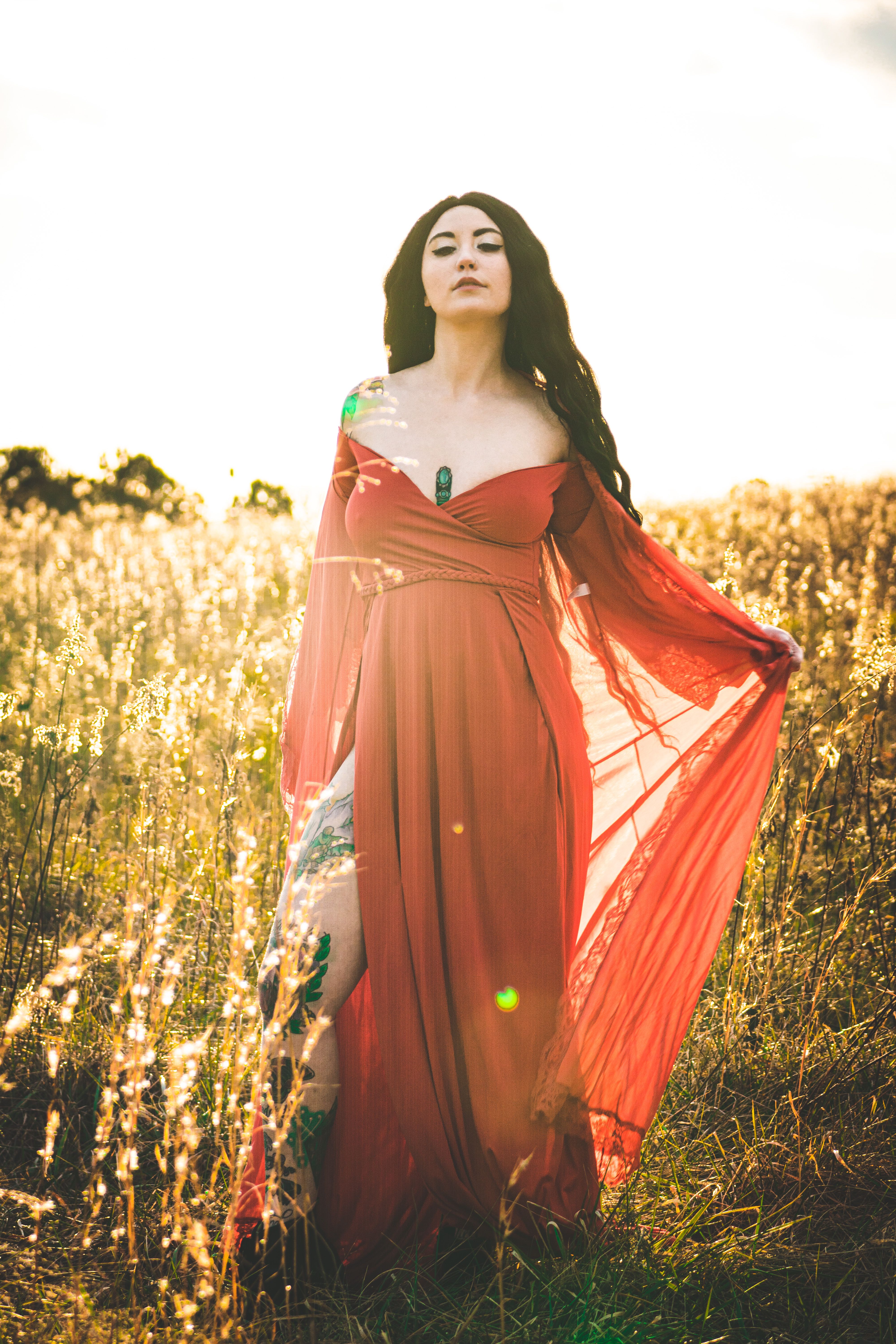 Woman in a Long Red Dress Standing in the Field  Free Stock Photo