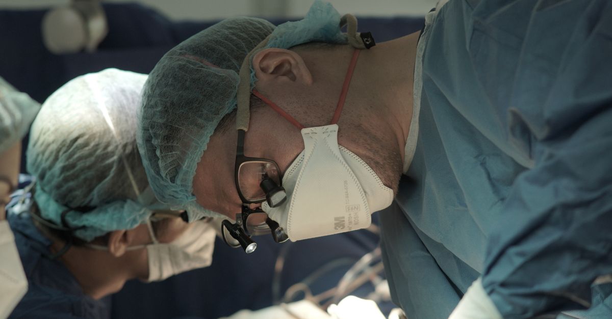 Breakthrough in Electrophysiology: Single-Spike Precision Achieved