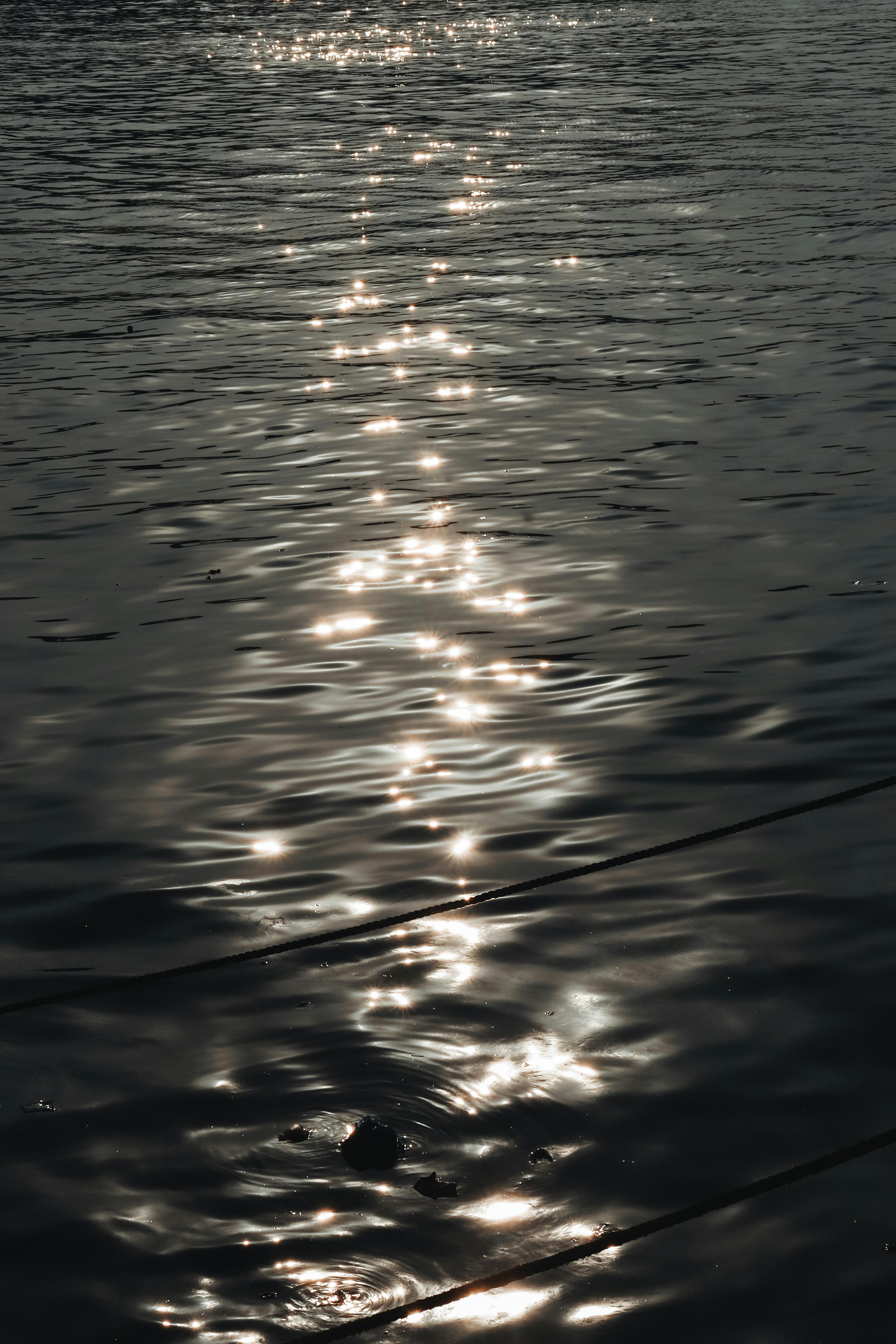 Radiance of the Seas Seward Tips