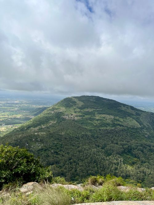 Free A scenic view of a lush green hill covered with trees under a cloudy sky, perfect for nature lovers. Stock Photo