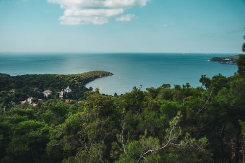Free Aerial view of Büyükada in İstanbul, Türkiye, showcasing lush greenery and the sea of Marmara under a clear sky. Stock Photo