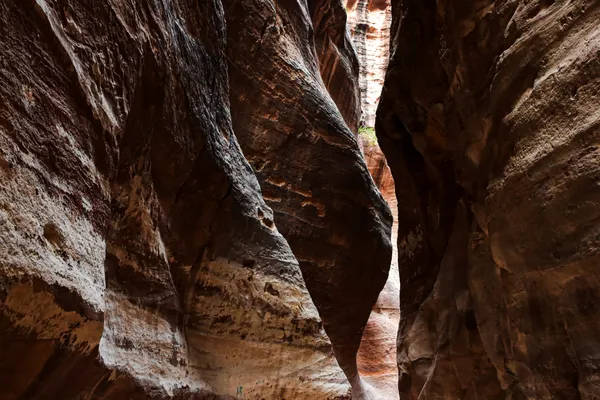 le canyon du Siq