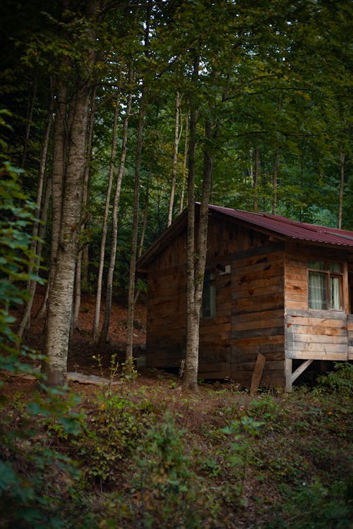 Foto profissional grátis de cabana, casa de campo, casas de campo