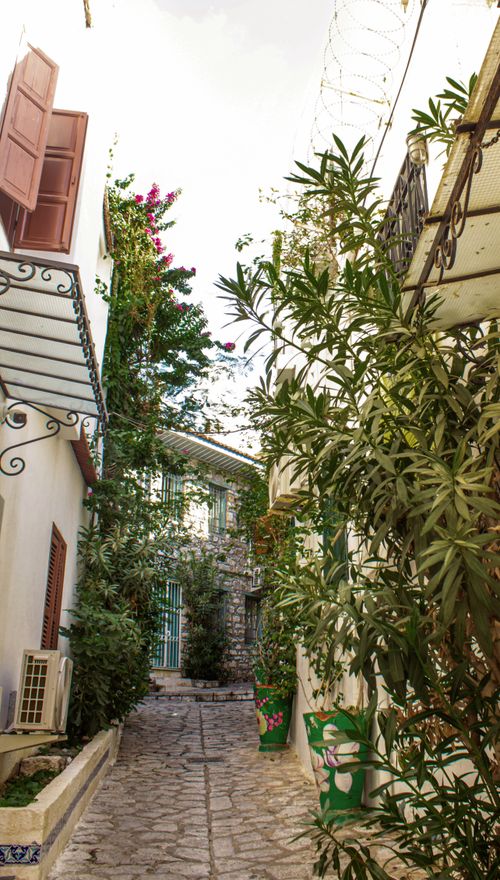 Free Picturesque narrow alleyway with cobblestones and lush greenery in a residential urban setting. Stock Photo