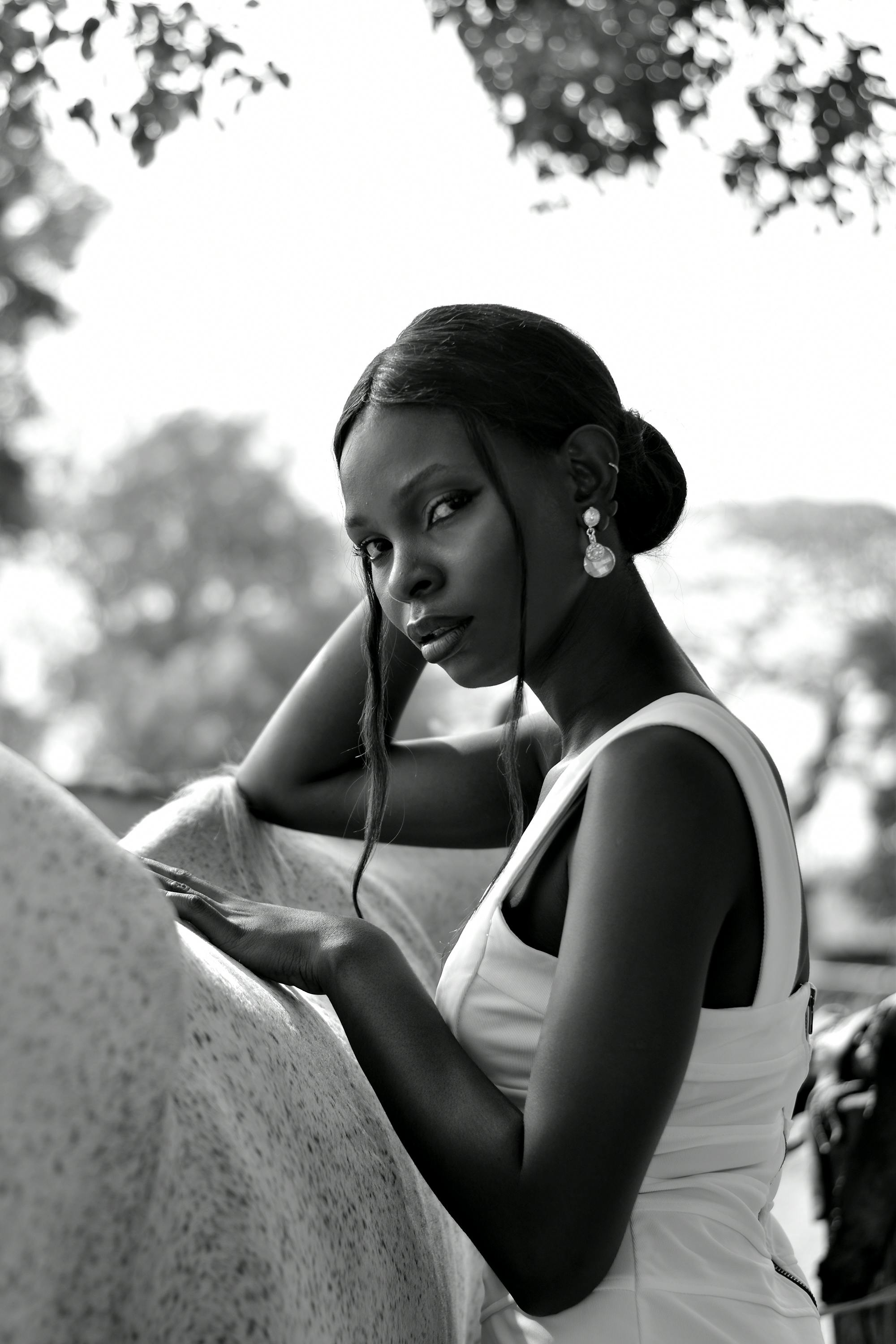 Gratis Foto stok gratis abadi, aksesoris, alam Foto Stok