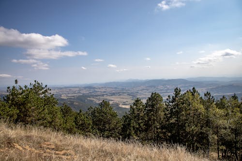 Valley Seen From Mountain