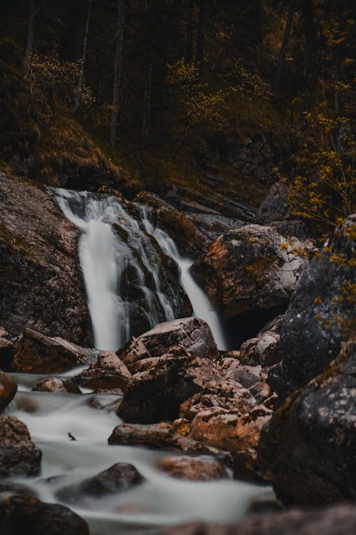 Fotobanka s bezplatnými fotkami na tému les, narušili, príroda