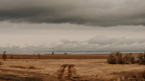 Imagine de stoc gratuită din câmp, la țară, nori de ploaie