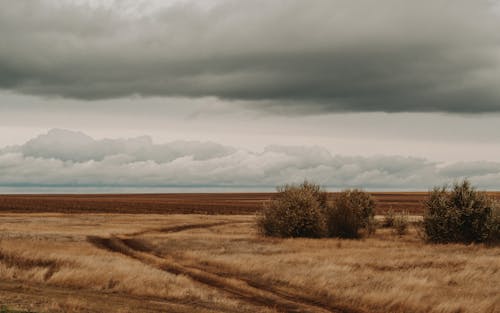 Imagine de stoc gratuită din câmp, la țară, nori de ploaie