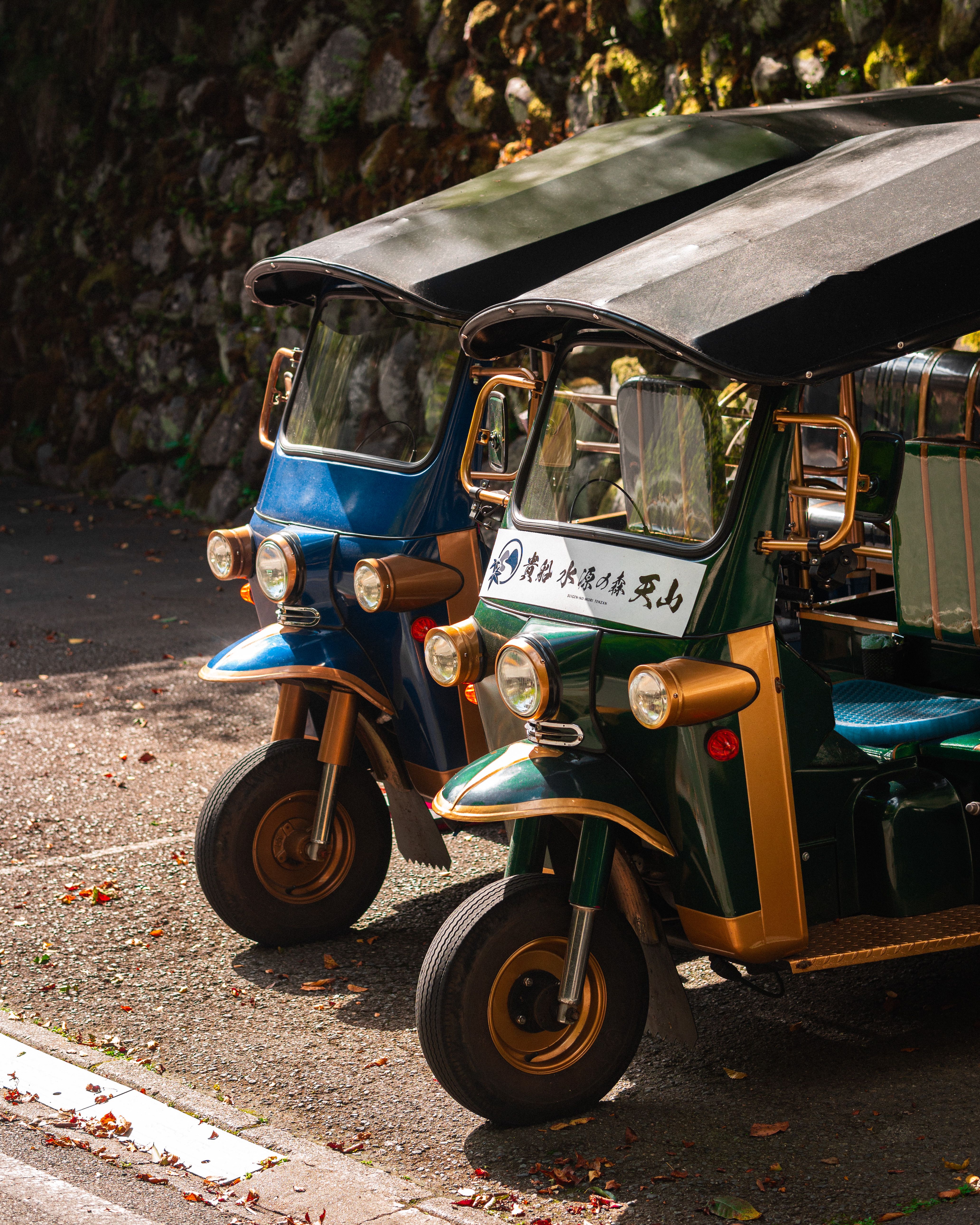 Parked Auto Rickshaws · Free Stock Photo