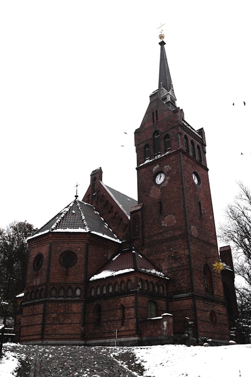 가톨릭, 겨울, 고딕 양식의 건축물의 무료 스톡 사진