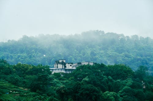 Abandoned Building in the Forest in Hills 