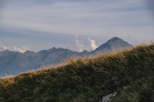 çayır, dağ silsilesi, dağlar içeren Ücretsiz stok fotoğraf
