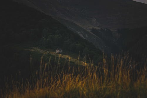 Free Lone Cottage in the Mountains  Stock Photo