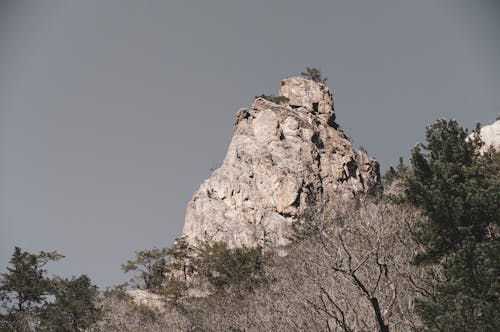 Rock Formation and Trees in the Mountains 