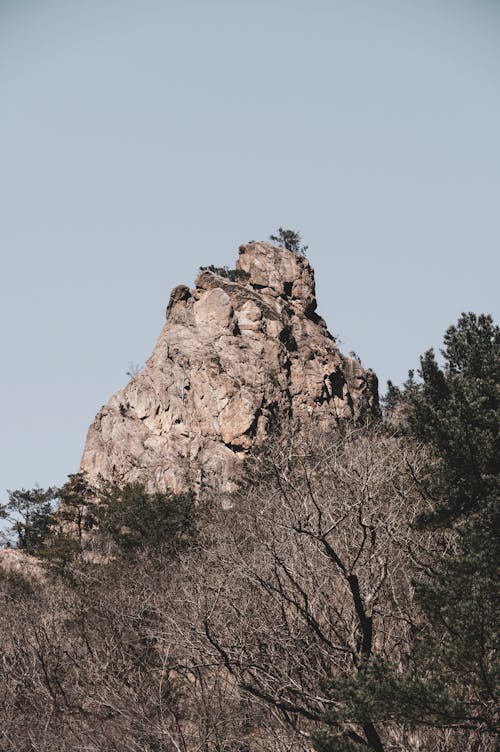 Rock Formations and Trees 