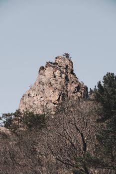 A towering rocky mountain peak surrounded by sparse trees under a clear sky.