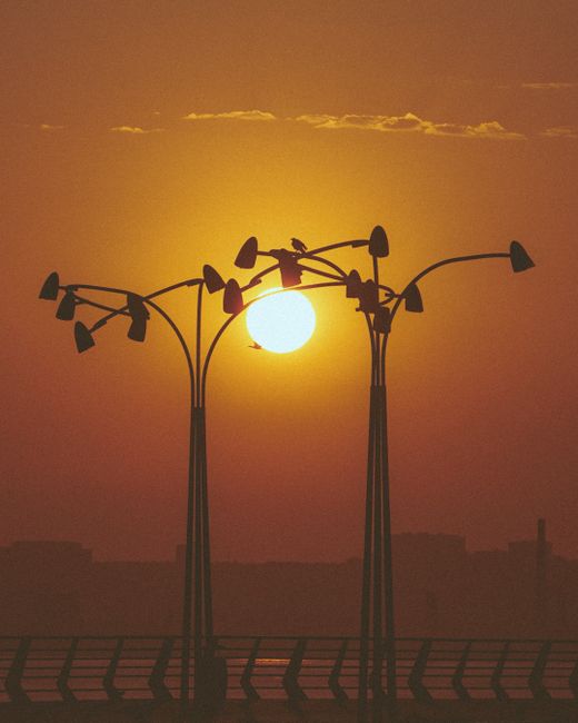 Captivating sunset in Baku featuring decorative streetlights silhouetted against the golden sky.