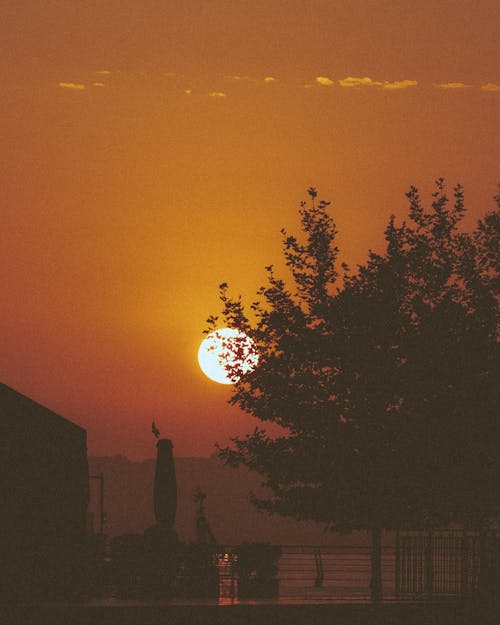 Kostenloses Stock Foto zu bäume, dramatischer himmel, goldene stunde