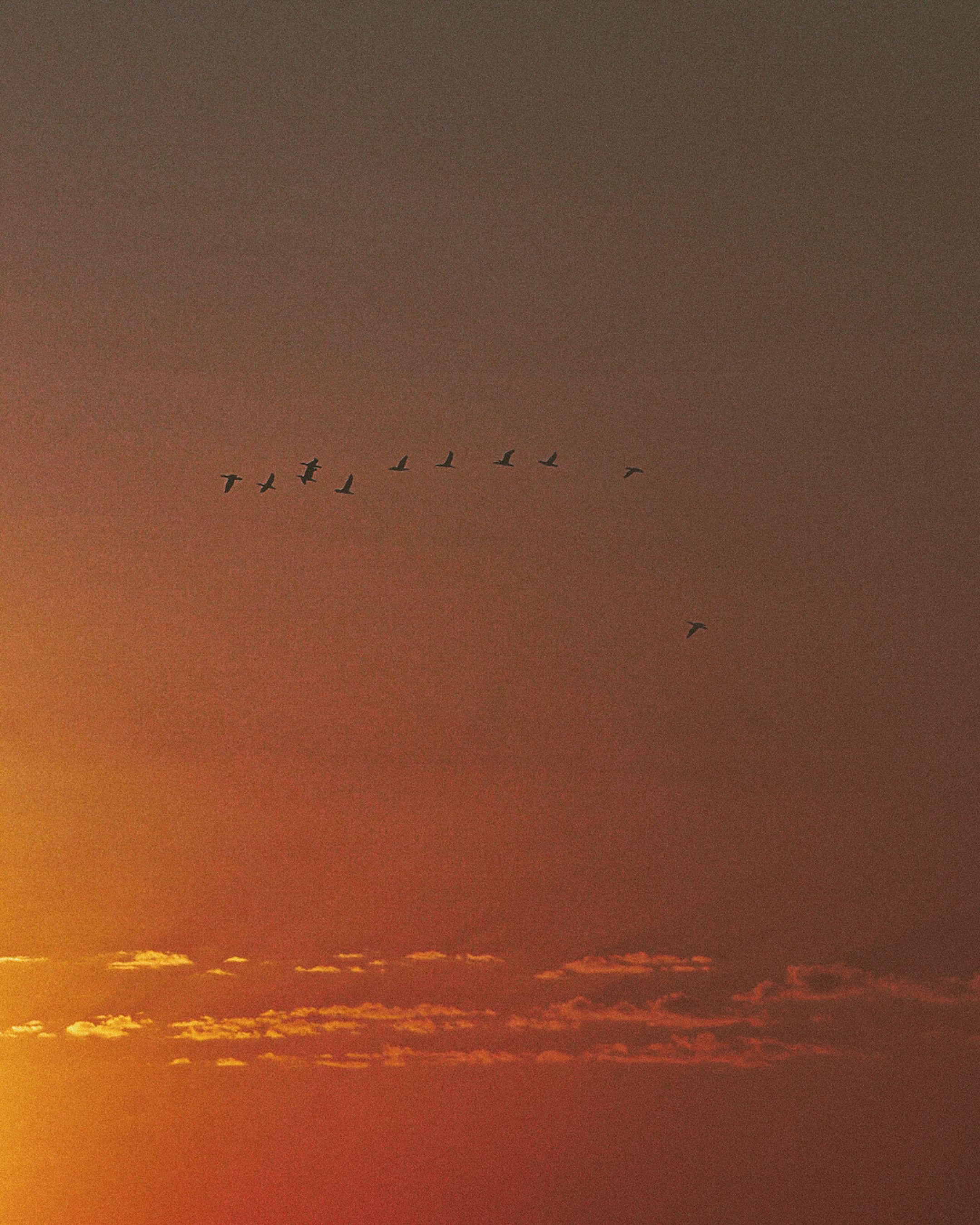 Join pexels discover thousands of free photos you can use everywhere 