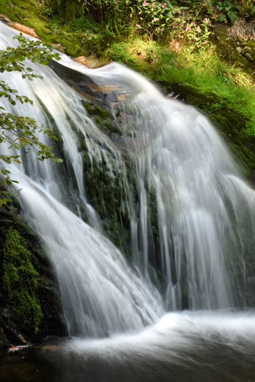 Free Capture of a vibrant waterfall cascading over rocks in Oppenau, Germany during summer. Stock Photo