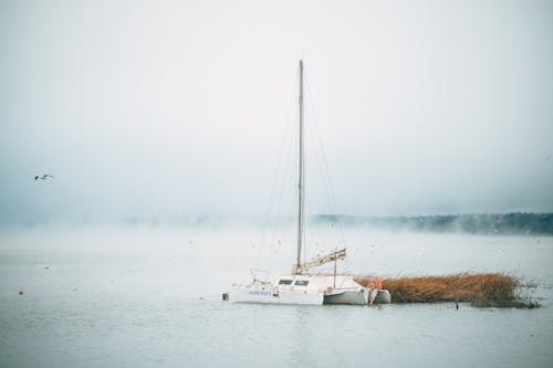 Motor Yacht with Mast under Fog