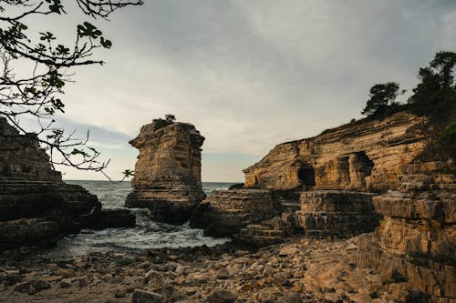 คลังภาพถ่ายฟรี ของ กัดเซาะ, ต้นไม้, ทะเล