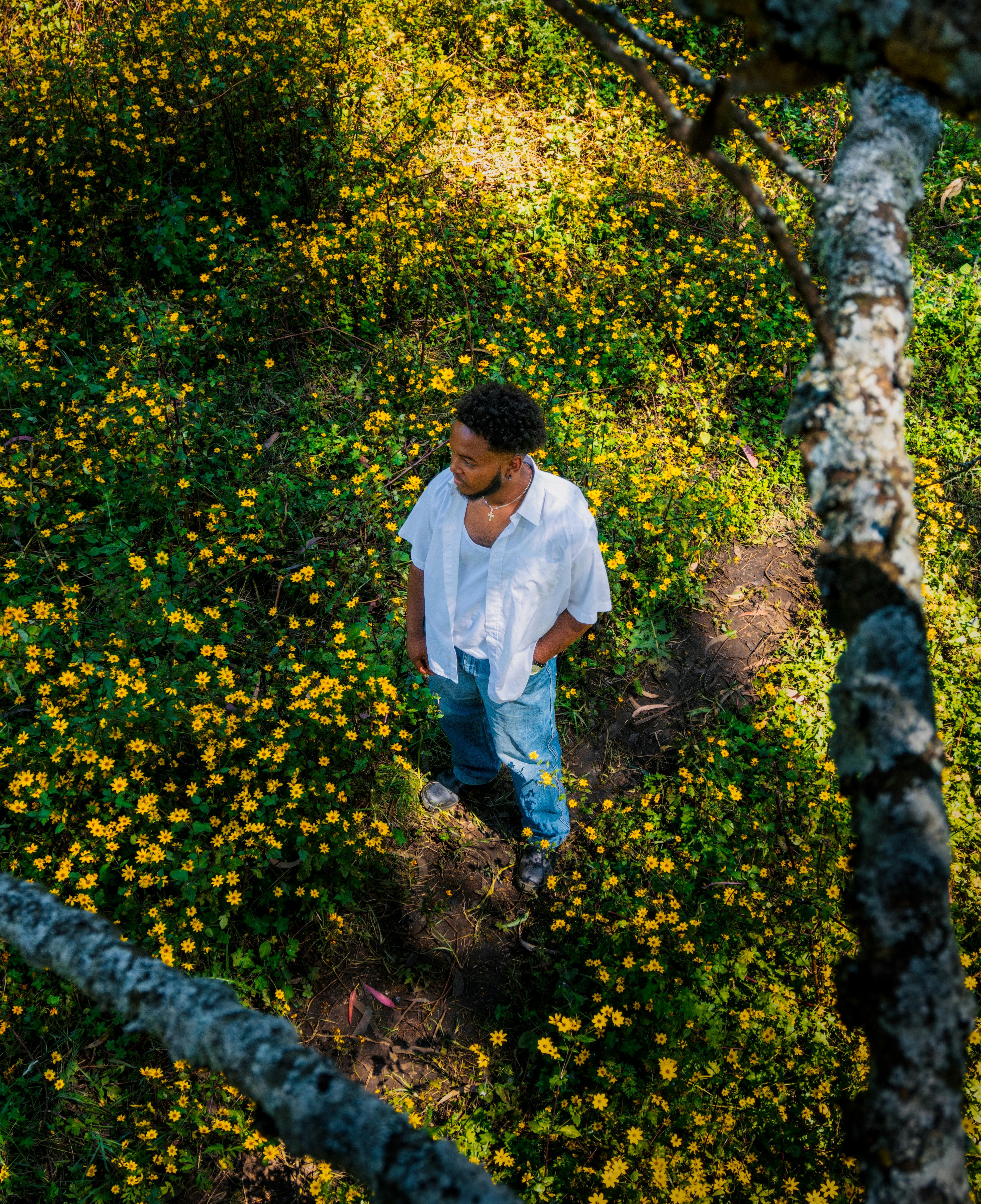 A person stands in a vibrant Ethiopian field surrounded by yellow flowers, photographed from above.