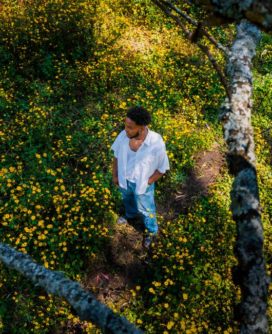 A person stands in a vibrant Ethiopian field surrounded by yellow flowers, photographed from above.