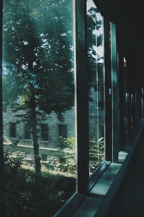 Kostnadsfri bild av fönster, glas, interiör
