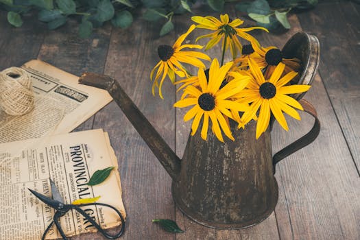 Rustic watering can with vibrant coneflowers and vintage newspapers on wooden surface.