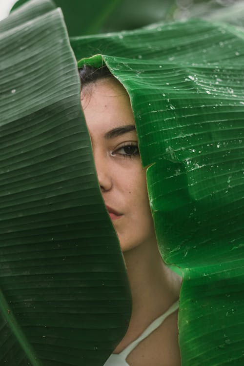 Woman Hiding Behind Green Leaf