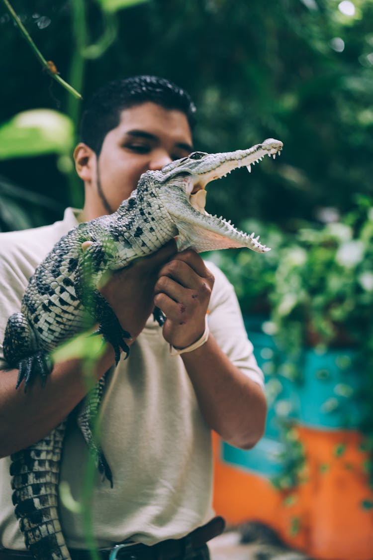 Man Holding Alligator Selective Focus Photography