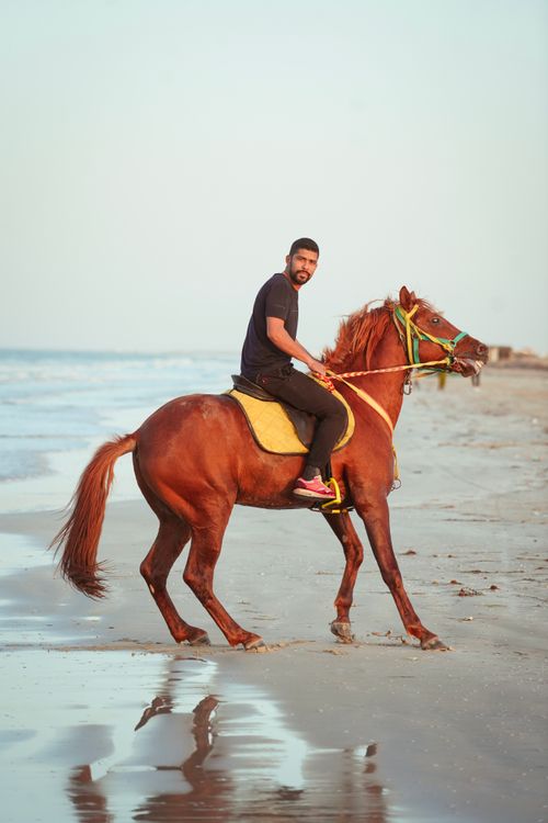 Free A man riding a chestnut horse along the sandy beach during the day. Stock Photo